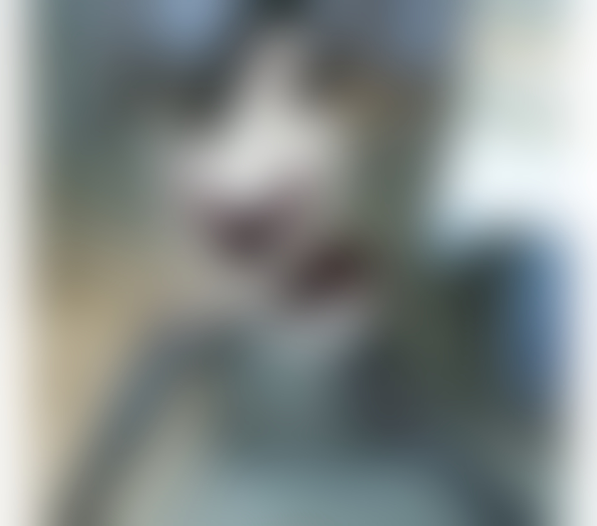 Escorts Gosforth Newcastle upon Tyne - Photos for 🌸 Authentic Asian Massage in NE3 Newcastle 🌸